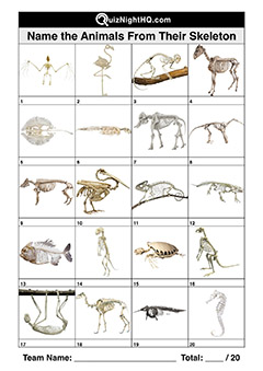 bone structures animal skeletons picture quiz