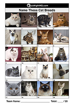 cat breeds animal trivia picture quiz round