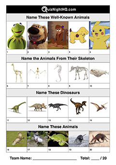 Trivia Jumble 012 – Animals for Kids – QuizNightHQ
